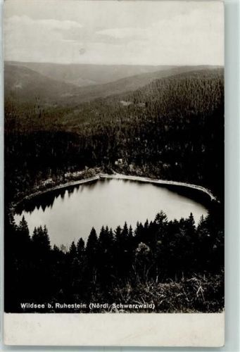 Ruhestein Wildsee