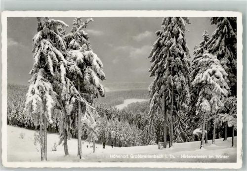 Großbreitenbach Hirtenwiese im Winter