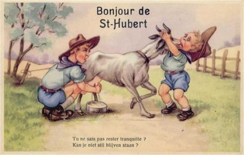 Saint Hubert Saint-Hubert (Belgien) Leporello I-II