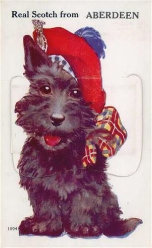 Aberdeen Aberdeen (Großbritannien) Leporello, Hund II- (minimaler Einriss, Stauchungen)