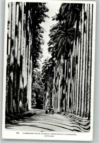 Makassar 1951 Auto Peredeniya Gardens Colo