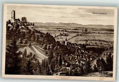 Schriesheim Alte Panoramaansicht des Ortes mit der Burgruine Strahlenburg Verlag Hepp 2905