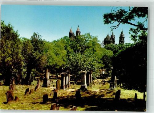 Worms Ältester Judenfriedhof Europas m. Blick z. Dom