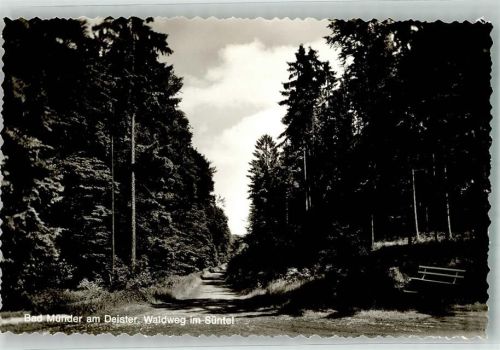 Bad Münder Waldweg im Süntel