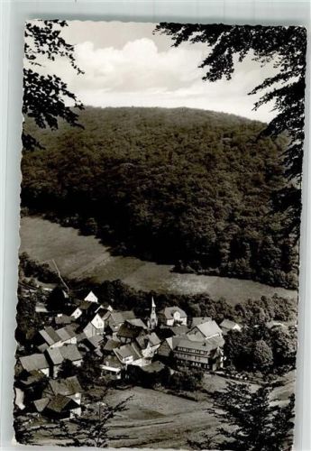 Lonau Panorama des Ortes mit St. Michaelis-Kirche