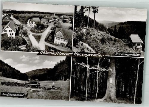 72285 W7293 Herzogsweiler Foto AK Gasthaus Nördlinger Hütte Zinsbachtal