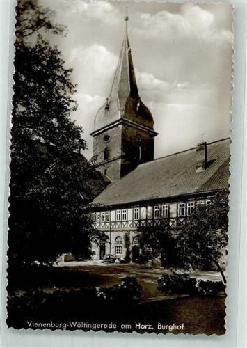Vienenburg Burg