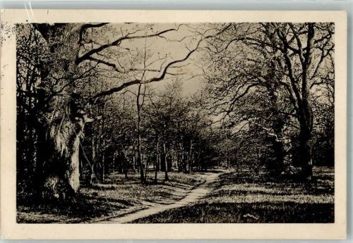 Frankfurt 1915 Eichenwald