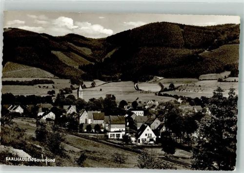 Saalhausen