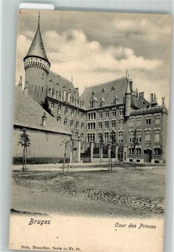 Bruges Brügge Foto AK Cour des Princes