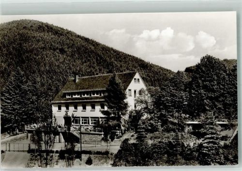 Willingen Hotel Willinger Hof