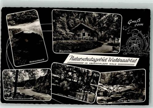 Windischeschenbach 198´ Naturschutzgebiet Waldnaabtal Blockhütte Kammerweg Waldnaabquelle