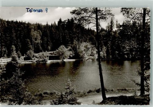 Tännesberg