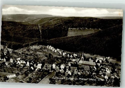 67466 W6731 Esthal Foto AK Fliegeraufnahme