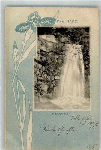 Wildemann 1901 Wasserfall im Spiegeltal