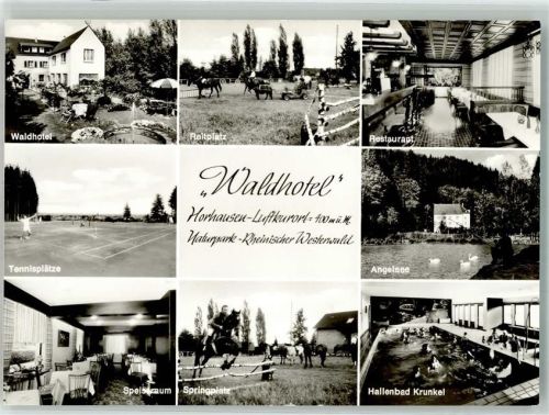 56593 W5453 Horhausen Westerwald Foto AK Waldhotel Tennis Angelsee Schwimmbad Krunkel Pferde
