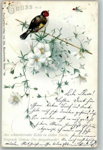 1900 Postkartenverlag Jak. Mandewirth