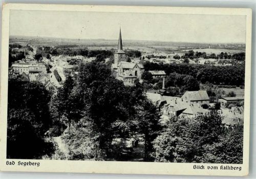 Bad Segeberg Panorama des Ortes mit der Marienkirche