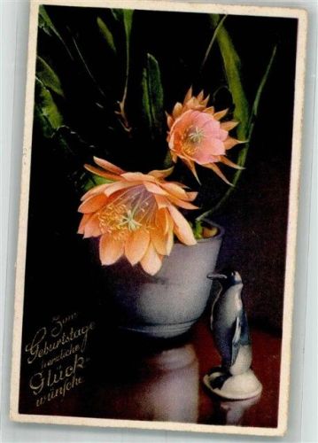 Geburtstag Photochrom Nr. 4138 Kaktus