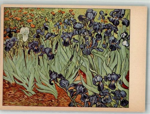 Gartenstück mit Schwertlilien Woldemar Klein Verlag Nr. K 910 Van Gogh, V. Künstlerkarte
