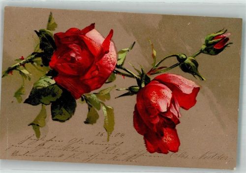 1904 Rosen No. 892
