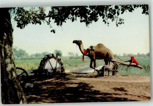 Karatschi Persien Wheel Driven by a Camel