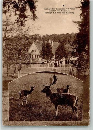 Neu-Isenburg Restauration Forsthaus Mitteldick Gasthaus Reh Hirsch Einriß