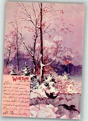 1900 Winter Vögel über vereisten Gewässer in verschneitem Wald Adelskorrespondenz