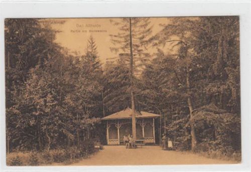 Bad Altheide Bad Altheide / Polanica Zdrój - Kreis Glatz / Klodzko. Partie am Badewalde gelaufen 1913 kleiner Knick an der linken unteren Ecke , sonst gut erhalten