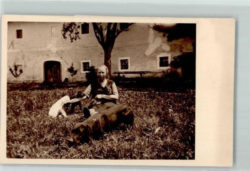 Hund mit Welpen