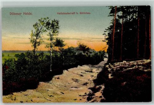 Bad Düben 1915 Heidelandschaft Dübener Heide