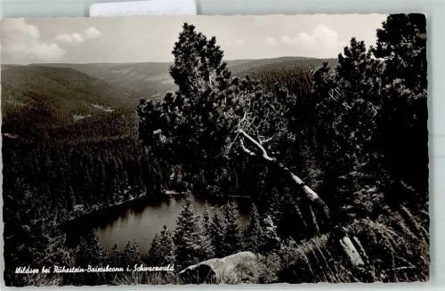 Ruhestein Wildsee