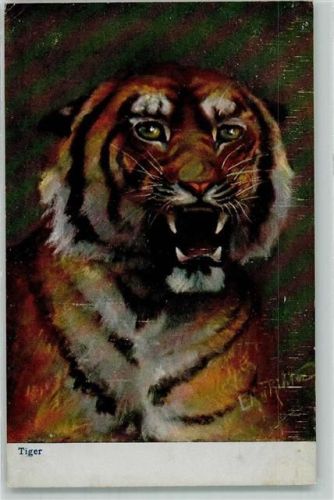 Künstlerkarte sign. E.H. Richter AK Tiger 1900 Gebrauchsspuren