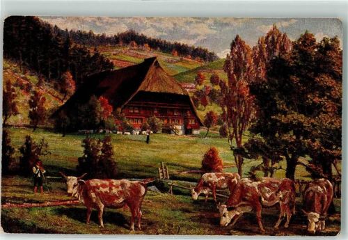Kühe Kuhhirte Bauernhaus Landwirtschaft AK