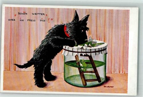 Wetterfrosch im Glas und Hund sign. Irm v. Walmont AK