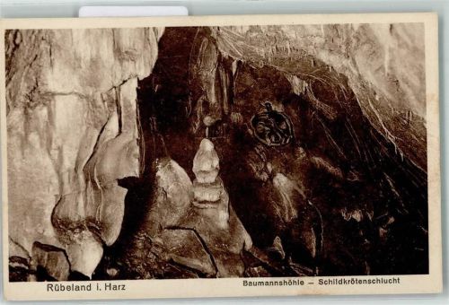 O3725 Rübeland b Blankenburg, Harz Baumannshöhle Schildkrötenschlucht AK Schildkröte