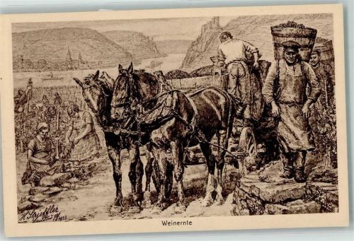sign. Strieffler 1933 Weinernte AK