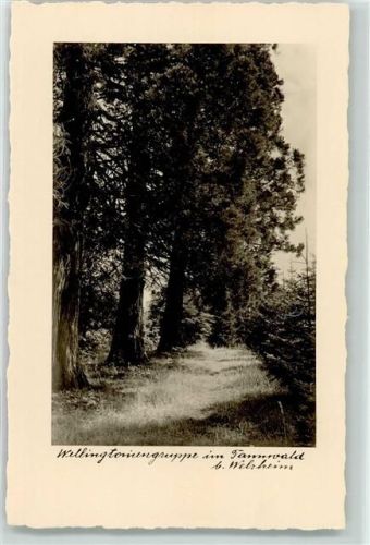 Welzheim im Tannenwald Gasthaus u. Pension zum Lamm Bes. Eisenmann