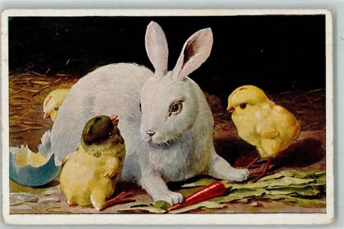 1921 Weißes Kaninchen und Küken AK
