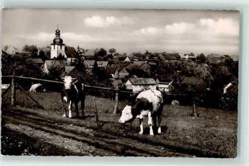 64720 W6120 Vielbrunn , Odenw - Rinderweide Ev. Laurentiuskirche