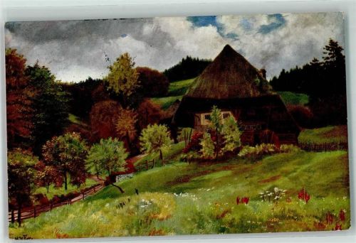 1916 Der Hinterbauer sign. H. d`Eu de Perthes Verlag Edm. von König