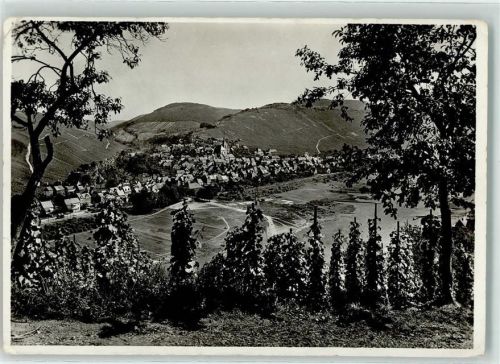 Enkirch Weinstöcke