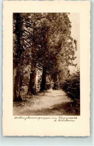 Welzheim im Tannenwald Gasthaus u. Pension zum Lamm Bes. Eisenmann