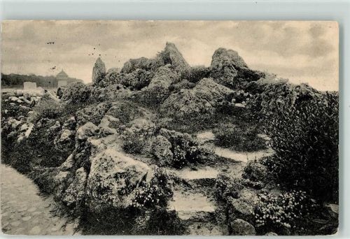 Dahlem 1916 Sotanischer Garten Abschnitt aus der Alpenanlage
