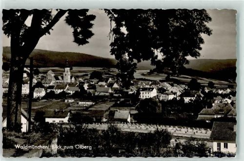 Waldmünchen Blick zum Ölberg
