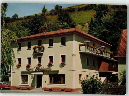 Wallenfels Hotel Wirtshannla Auto