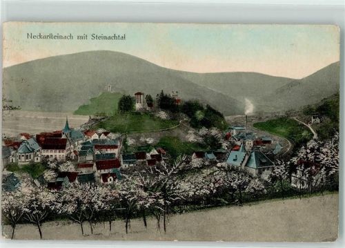 Neckarsteinach Steinachtal