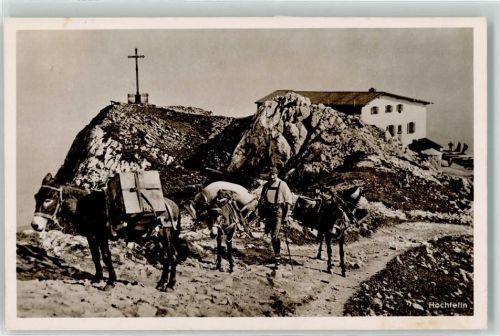 83346 W8221 Bergen , Chiemgau - Hochfellnhaus Gipfelkreuz Lastenmulis