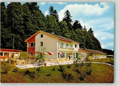 Zwieslerwaldhaus Hotel-Pension Schachten Terrasse