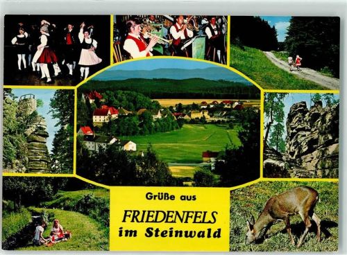 Friedenfels Steinwald Trachtentanzgruppe Trachtenochester Reh Picknick